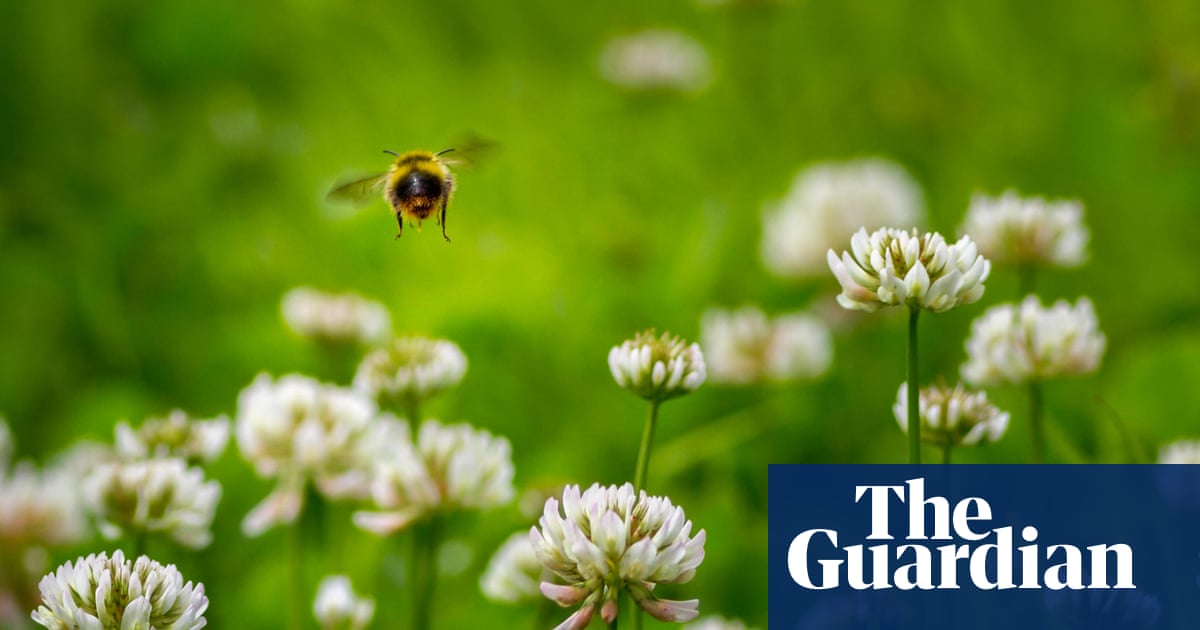 When is the first day of spring?  Spring  The Guardian