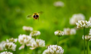 when is the first day of spring news the guardian