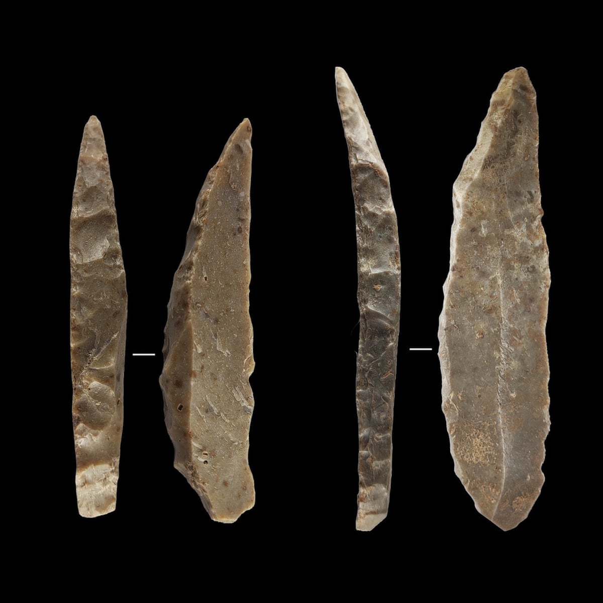 Neanderthal Shell Tools Neanderthal Tool Workshop Unearthed In Poland