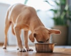 Dog food recalled after reports of pets losing their sight