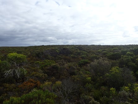 Proposed location for a rocket launch pad in southern emu-wren habitat.