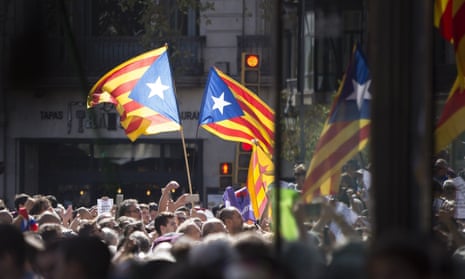 A demonstrator holds a Catalan flag in front of a regional government office during a search by police