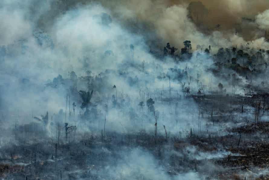 Burning in the Jamanxim APA (Environmental Protection Area) in the city of Novo Progresso, Pará state, 2019