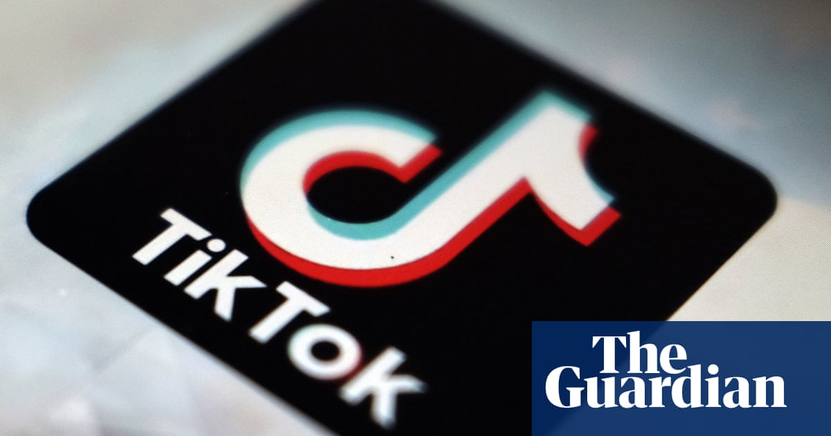 TikTok to introduce warnings on content to help tackle misinformation