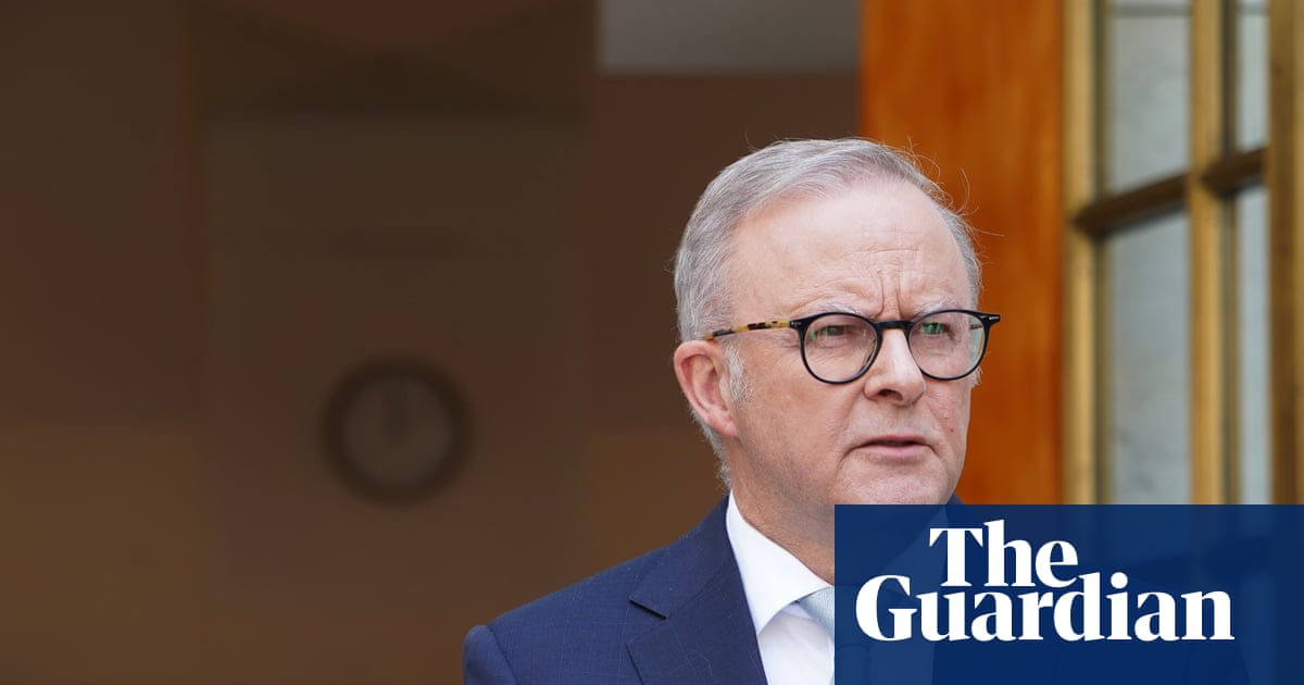 Peak Jewish body calls Labor’s plan to combat antisemitism an essential ‘first step’ but some warn it risks division