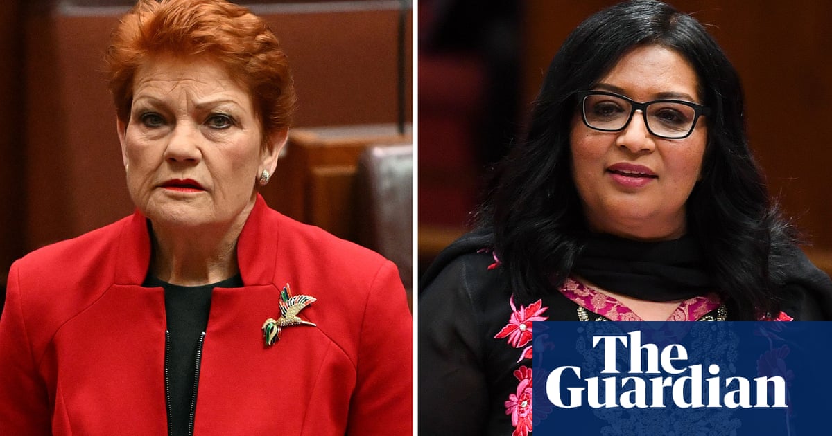 Mehreen Faruqi v Pauline Hanson: Greens senator tells court attacks on white people not racist