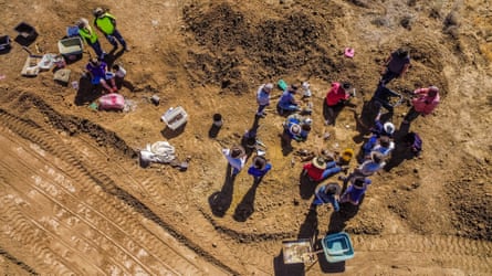 Overhead view of an archeological dig site with multiple people working on uncovering fossils