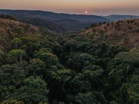 The sun at dawn over a partly forested landscape