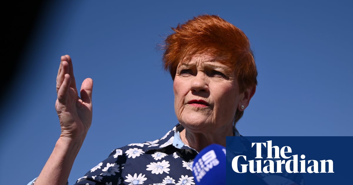 Do not call her a racist: anti-Pauline Hanson strategists tell campaigners character attacks won’t work in Victoria