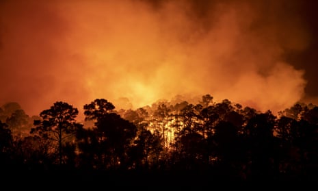 A wildfire in January in Bastrop State Park in Texas in the south-western US