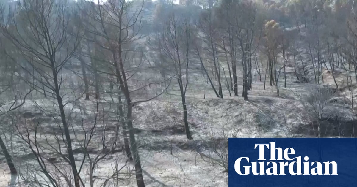 Southern France Wildfire Kills One, Destroys Thousands Hectares Controlled