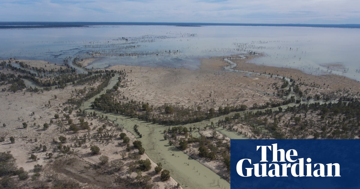 After the deluge: Australia’s outback springs to life as mighty rivers flow again