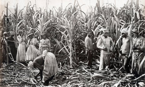Sugar cane cutters in Jamaica in 1891