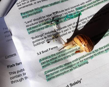 Snails cross copies of legislation that Ball says provides the legal grounds to enable his tax avoidance scheme.