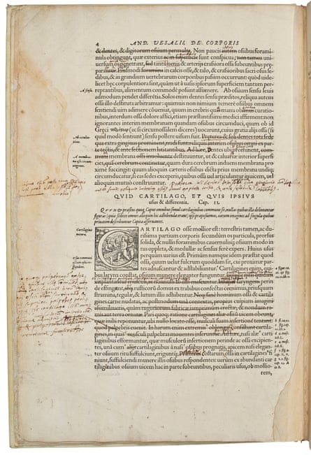 An annotated page from Vesalius' De Humani Corporis Fabrica Libri Septem from 1543