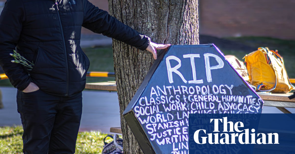 Just not monetizable': humanities programs face existential crisis at US universities