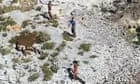 Three Cubans detained in Florida after surviving on coconuts on empty island