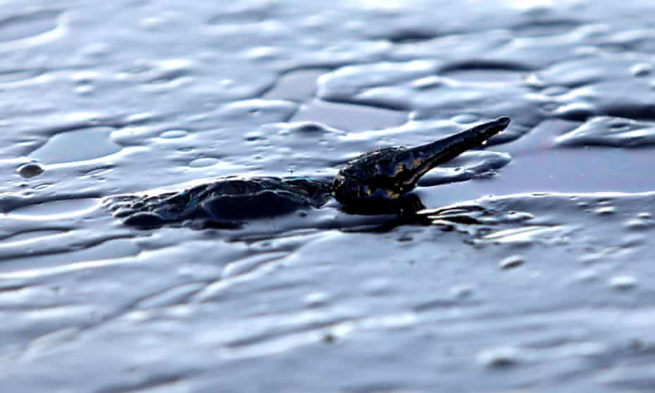 Greece oil spill