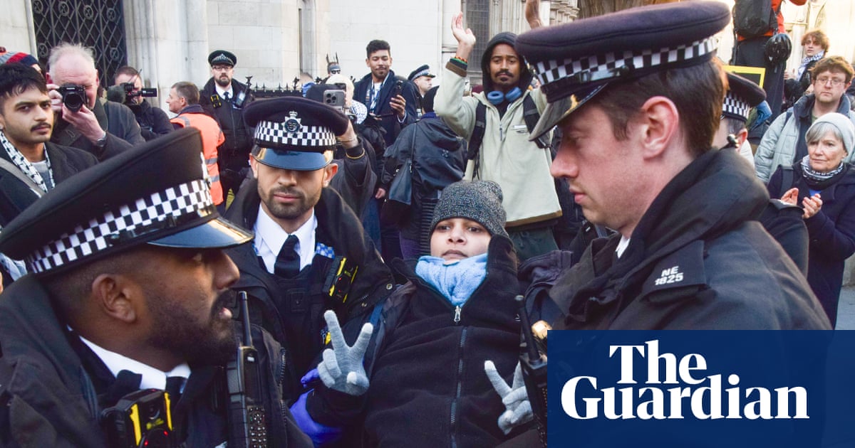 Ban on Palestine Action is repugnant and should be lifted, high court told