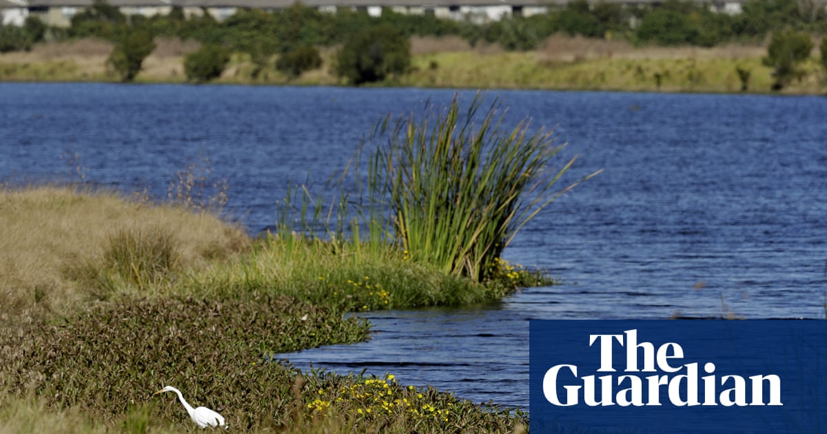 Trump administration strips pollution safeguards from drinking water sources - The Guardian