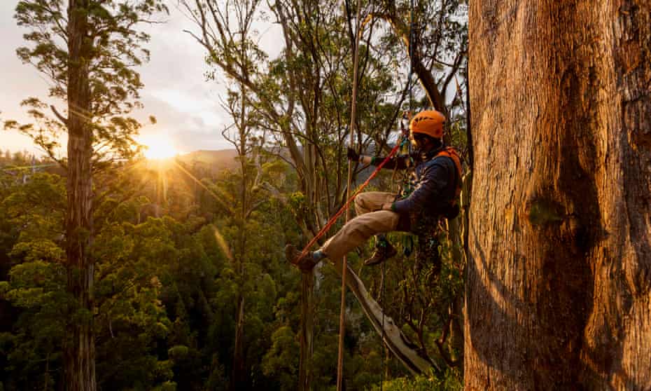 A sunset in the Styx Valley