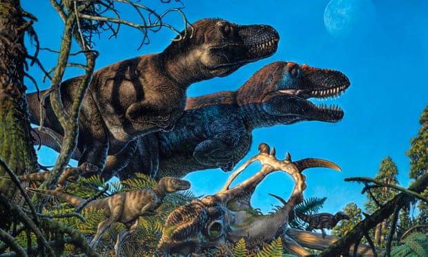 It was previously unclear whether dinosaurs lived in the Arctic year-round or were seasonal visitors.