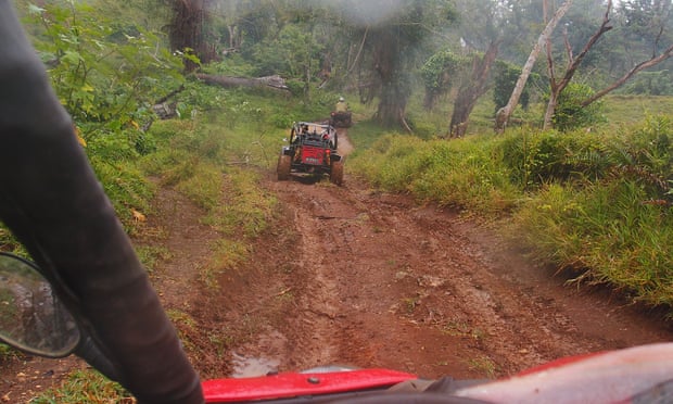 Buggies go off-road through a cattle property near Port Vila