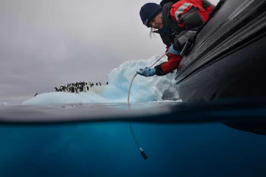 Dr Kirsten Thompson, lead scientist on the Arctic Sunrise takes water samples for eDNA sampling near Paulet Island in the entrance of the Weddell Sea, Antarctica, during the Antarctic leg of the Pole to Pole expedition, 2020