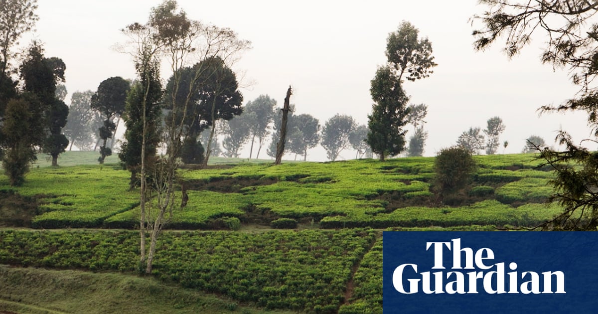 Documentary examines Kenyan communities’ fight over land taken under colonial rule