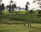‘They raped our country’: documentary follows Kenyans’ fight for restitution over stolen land