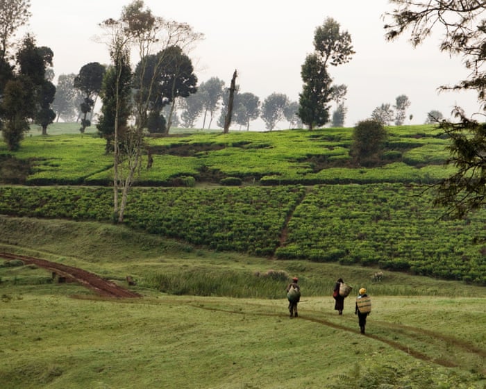 ‘They raped our country’: documentary follows Kenyans’ fight for restitution over stolen land