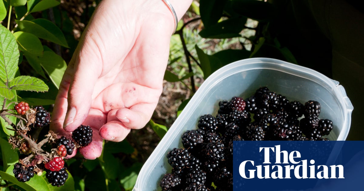 Wanted: bakes to make use of a glut of homemade jam