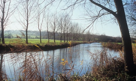 The River Chelmer near Chelmsford in Essex. The abstraction licensing regime dates back to the 1960s and successive governments have pledged to reform it for more than a decade.