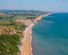 Common Jurassic Coast fossils do not require strict protection, says expert