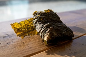 Winged kelp after being dehydrated