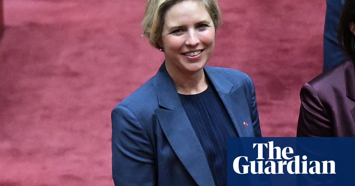 Gender balance in Liberal party should be based on merit' not quotas', says new senator Jess Collins