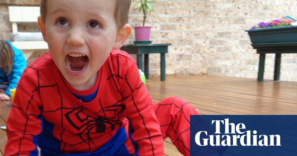 William Tyrrell’s foster mother charged with giving misleading evidence