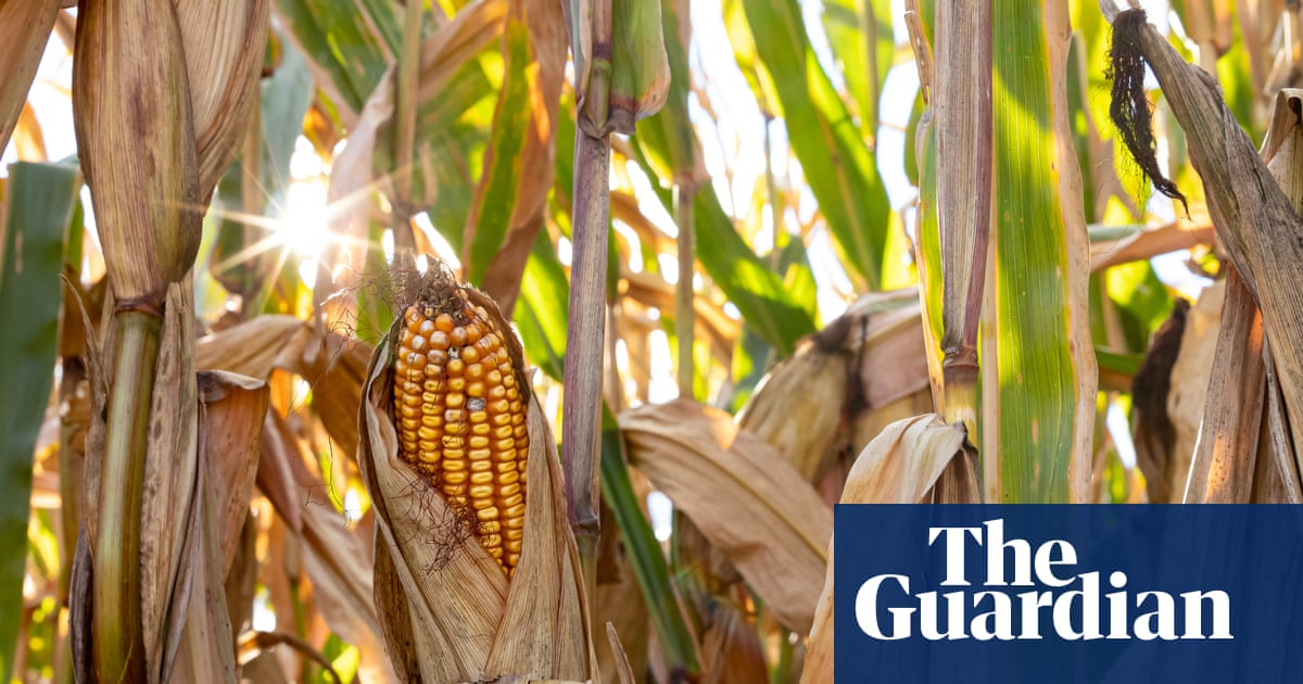 Trump officials set to approve ‘forever chemical’ as pesticide ingredient