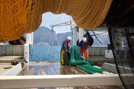Two men leaning over a green fishing net.