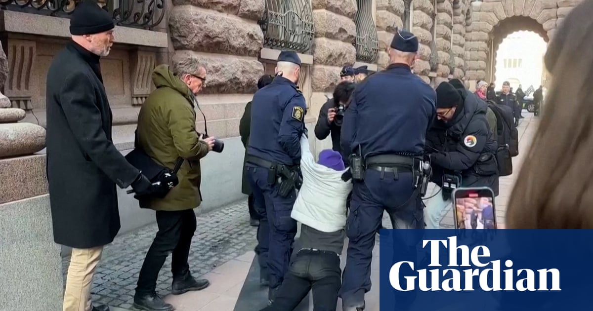 Greta Thunberg dragged by police from climate protest outside Swedish parliament – video | Environment