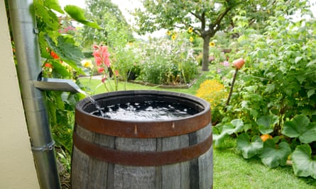 Un baril de pluie, stockant l'eau pour les périodes plus sèches.