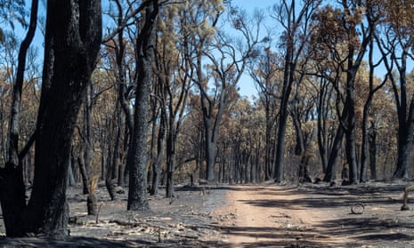 The Perth hills bushfire