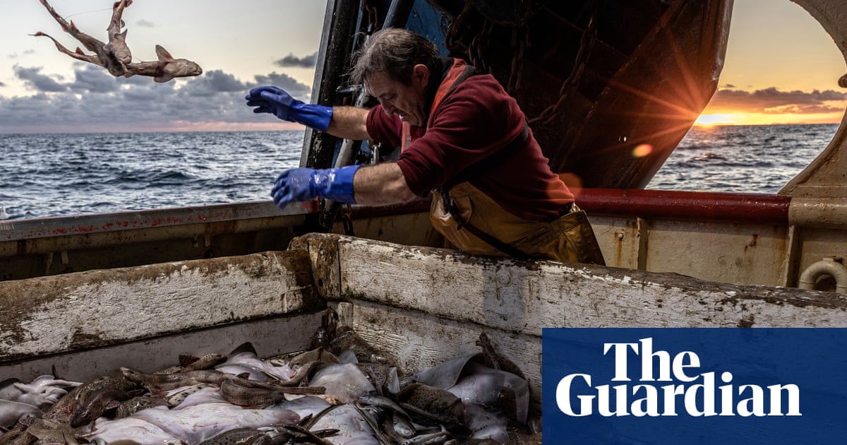 'We've heard these promises before': is this the end of the line for Irish fishing?