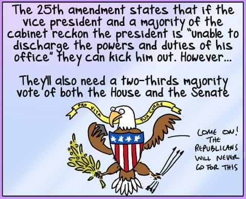 25th Amendment, panel 5