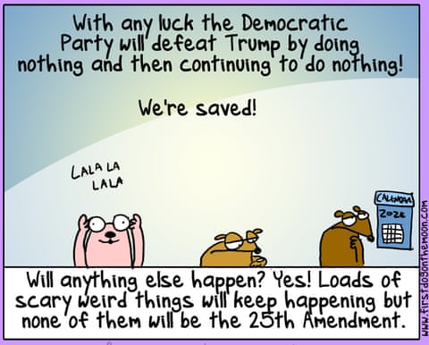 25th Amendment, panel 7