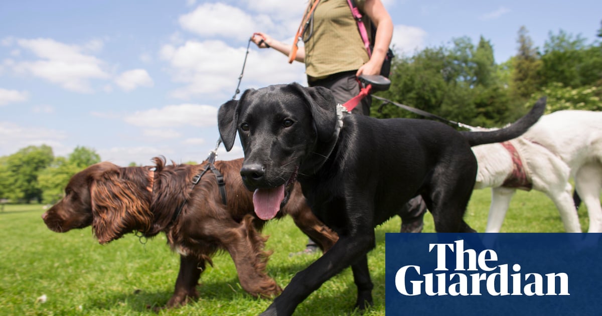 Pets at Home buys stake in dog-walking service Tailster