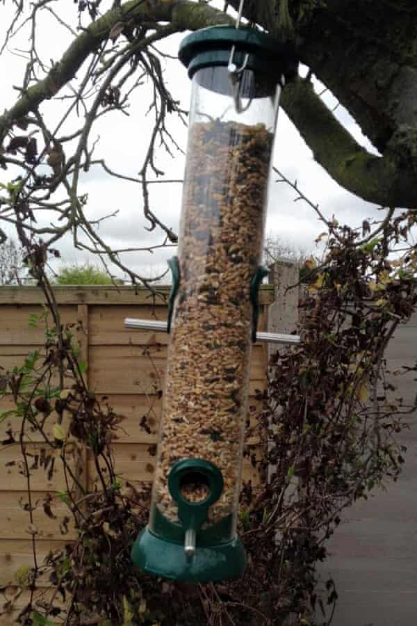 Bird Feeder Test The Verdict Life And Style The Guardian
