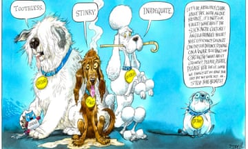 A row of four watchdogs - a hairy dog with a dog tag labelled Ofcom saying “Toothless”, a bedraggled dog with a dog tag labelled Ofwat saying “Stinky”, a poodle with a dog tag labelled Ofsted saying “Inadequate”, and a small fat supine dog with a dog tag labelled Oftory saying “ Look, let’s be absolutely clear about this, with all due respect none of this is our fault, what about the sick note culture, Angela Rayner’s mortgage, NHS efficiency savings paying for defence spending? And growth - what about growth? Please, please vote for us when we finally let you have your say and, er, Stop the boats!