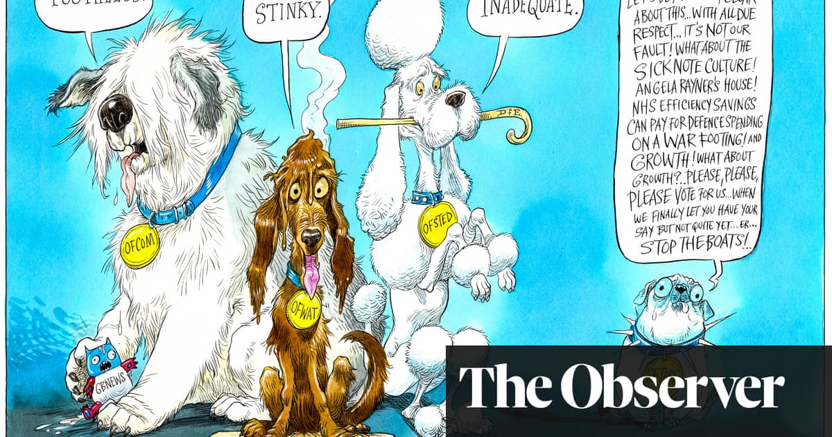 Chris Riddell on how one-word Ofsted assessments would apply to the Tory party – cartoon