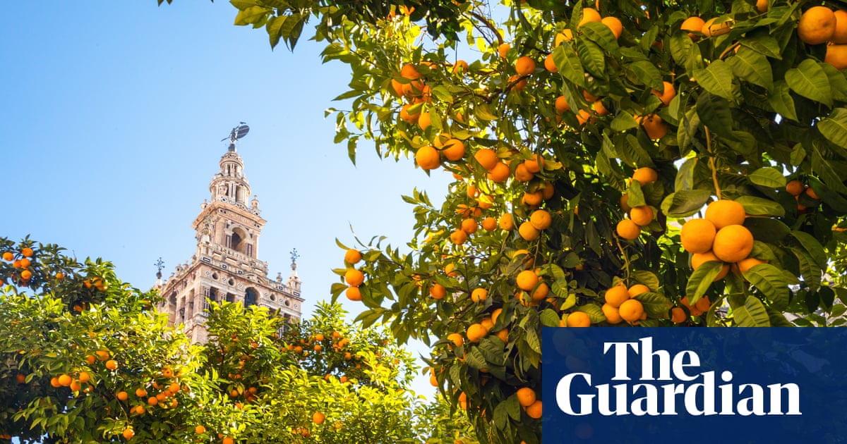 'A role model': how Seville is turning leftover oranges into electricity